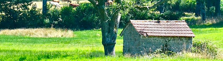 Poulailler de plein champ Blaudeix 3