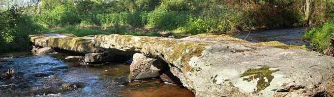 saint leger bridereix 1